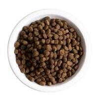 Open Farm Grain Free Catch of the Season Whitefish Dry Dog Food