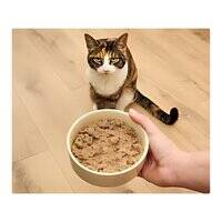 Open Farm Homestead Turkey Pate Wet Cat Food 150G