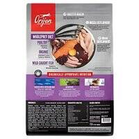 Orijen Kitten Formula - Brain & Muscle Development Cat Dry Food