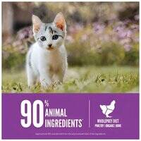 Orijen Kitten Formula - Brain & Muscle Development Cat Dry Food