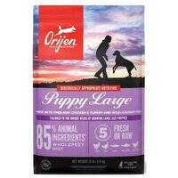 Orijen Large Breed Puppy Protein-Rich Dog Dry Food
