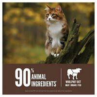 Orijen Regional Red Dry Cat Food
