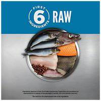 Orijen Six Fish Formula Protein-Rich Grain Free Diet Cat Dry Food