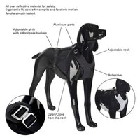 PAIKKA Visibility Harness for Dogs 206275-1