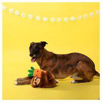 متجر الحيوانات الأليفة من فرينج ستوديو - لعبة كلب قطيفة لطيفة على شكل كسلان عيد الفصح على جزرة 204211-1