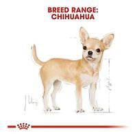 Royal Canin Breed Health Nutrition Chihuahua Adult (WET FOOD - Pouches)