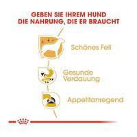 Royal Canin Breed Health Nutrition Chihuahua Adult (WET FOOD - Pouches)