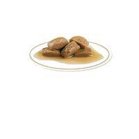 Royal Canin Breed Health Nutrition Labrador (Wet Food - Pouches)