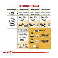 Royal Canin Feline Breed Nutrition British Shorthair Kitten