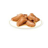 Royal Canin Feline Breed Nutrition Maine Coon (WET FOOD - Pouches)