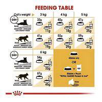 Royal Canin Feline Breed Nutrition Persian Adult