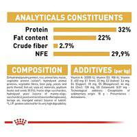 Royal Canin Feline Breed Nutrition Persian Kitten