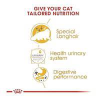 Royal Canin Feline Breed Nutrition Persian (WET FOOD - Pouches)