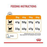 Royal Canin Feline Care Nutrition Hair And Skin