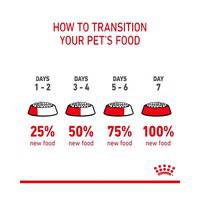 Royal Canin Feline Care Nutrition Hair And Skin