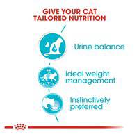 Royal Canin Feline Care Nutrition Urinary Care (Wet Food - Pouches)