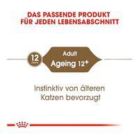 Royal Canin Feline Health Nutrition Ageing +12 Jelly (WET FOOD - Pouches)