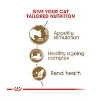Royal Canin Feline Health Nutrition Ageing 12+ Years