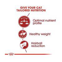 Royal Canin Feline Health Nutrition Fit 32