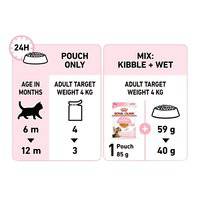 Royal Canin Feline Health Nutrition Kitten Sterilised Jelly (WET FOOD - Pouches)