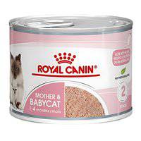 Royal Canin Feline Health Nutrition Mother And Babycat Mousse (WET FOOD - Cans)