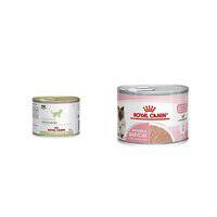 Royal Canin Feline Health Nutrition Mother And Babycat Mousse (WET FOOD - Cans)