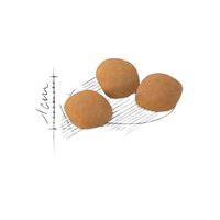 Royal Canin Feline Health Nutrition Protein Exigent