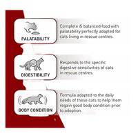 Royal Canin Feline Health Nutrition SC365D PRO