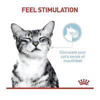 Royal Canin Feline Health Nutrition Sensory Feel (WET FOOD - POUCHES)