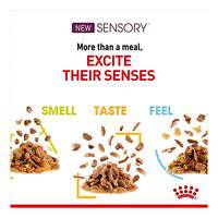 Royal Canin Feline Health Nutrition Sensory Smell (WET FOOD - POUCHES)