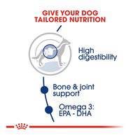 Royal Canin Size Health Nutrition Maxi Adult (WET FOOD - Pouches)