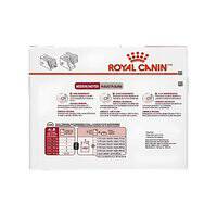 Royal Canin Size Health Nutrition Medium Adult (WET FOOD - Pouches)
