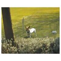 Savic Dog Park Dog Play Pen 302105