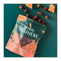 Tribal Trainers Salmon Quinoa And Blackberry Dog Treats