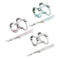 حزام تريكسي جونيور للجراء مع مقود