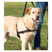 حزام تدريب ناعم للكلاب من تريكسي ليد آند ووك