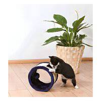 لعبة تريكسي للخدش للقطط