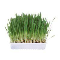 تريكسي، مكافآت عشبية للحيوانات الأليفة الصغيرة 100 غرام