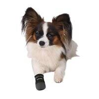 أحذية تريكسي ووكر كير الواقية للكلاب