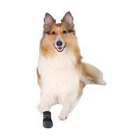 أحذية تريكسي ووكر كير الواقية للكلاب