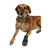 أحذية تريكسي ووكر كير الواقية للكلاب