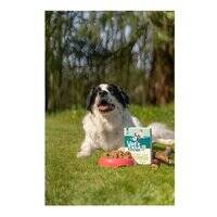 Vet's Kitchen Grain Free Lamb with Sweet Potato Wet Dog Food 395G