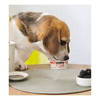 Wild Balance Ice Cream with Blackberry And Chia Seeds