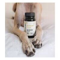 لآلئ زيت الماكريل والأنشوجة من وايلد بالانس للكلاب والقطط