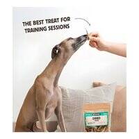 Wild Balance Natural Snack Dried Fishes Dog And Cat Treats 100G