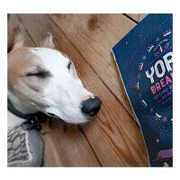 Yora Pet Foods Dreamers Dog Treats 100G