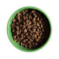 Yora Pet Foods Insect Protein Adult Dry Dog Food