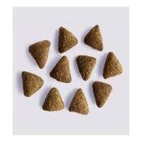 Yora Pet Foods Insect Protein Adult Dry Dog Food