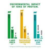 Yora Pet Foods Insect Protein Adult Dry Dog Food