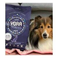 Yora Pet Foods Insect Protein Light Senior Dry Dog Food